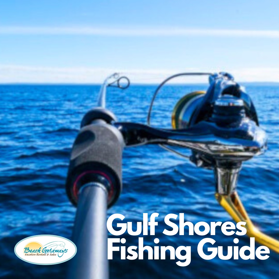 Gulf Shores Fishing Guide for 2024 Beach Getaways